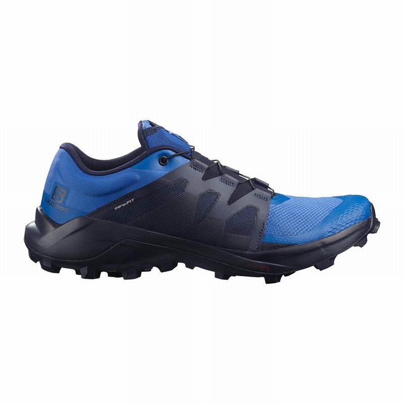 Zapatillas Trail Running Salomon Hombre Azules - Salomon Argentina WILDCROSS ,246958-VJS